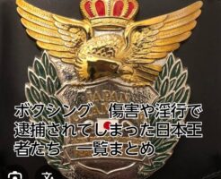 ボクシング　日本王者　逮捕