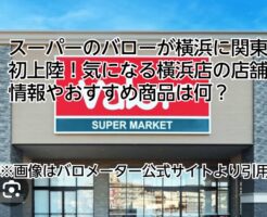 　バロー　スーパー　橫浜　おすすめ商品