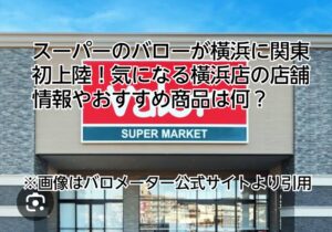　バロー　スーパー　橫浜　おすすめ商品