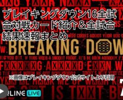 ブレイキングダウン16　全試合対戦カード　結果