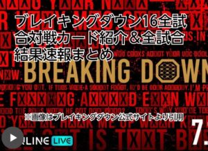 ブレイキングダウン16　全試合対戦カード　結果