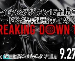 ブレイキングダウン17 全試合対戦カード　結果速報